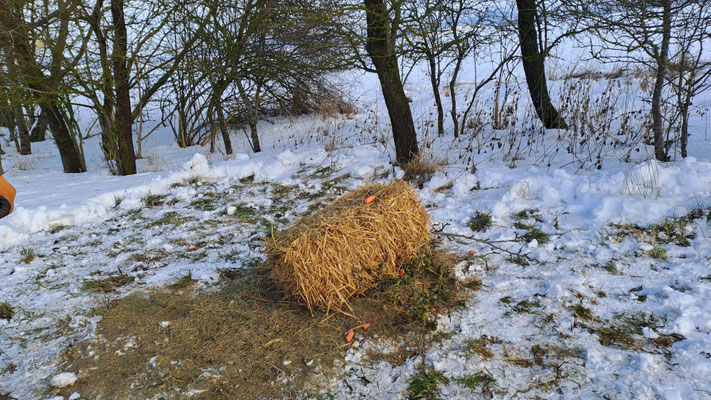 ©Margareta Loscher