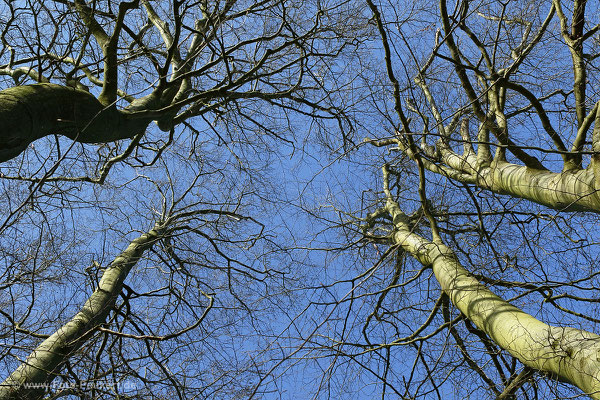 Der Frühling kommt....