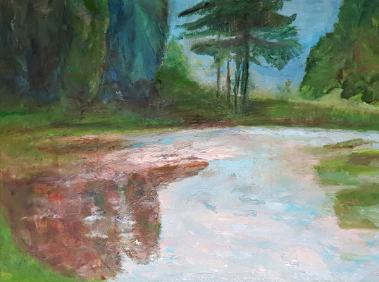 Paysage d'eau de Salzbourg-Huile 61x46
