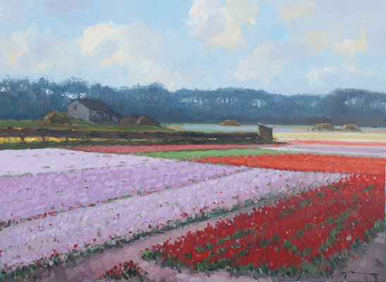 Bollenveld Olieverf 63,5 x 83,5 cm Prijs 1850 euro inclusief zwart zilver kleurige baklijst