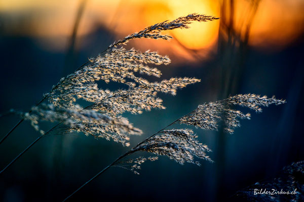 Landschaftsfotografie