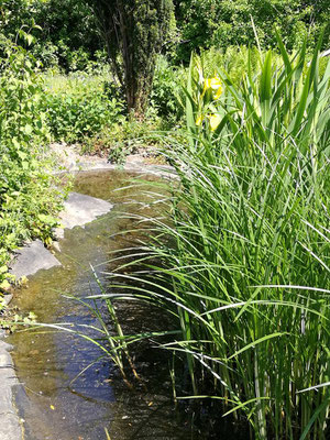 Entspannung pur in Achern