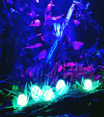 Avatar Pandora Diorama LED Silicone Fungi