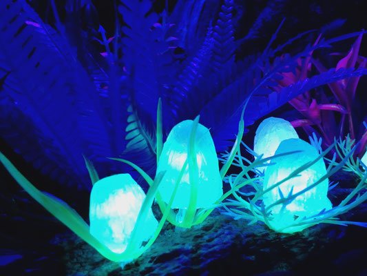 Avatar Pandora Diorama LED Silicone Fungi
