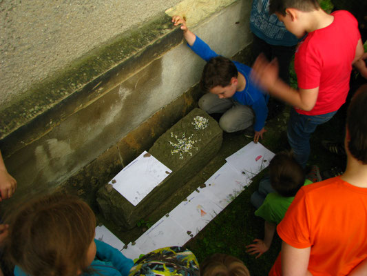 Naturkunst