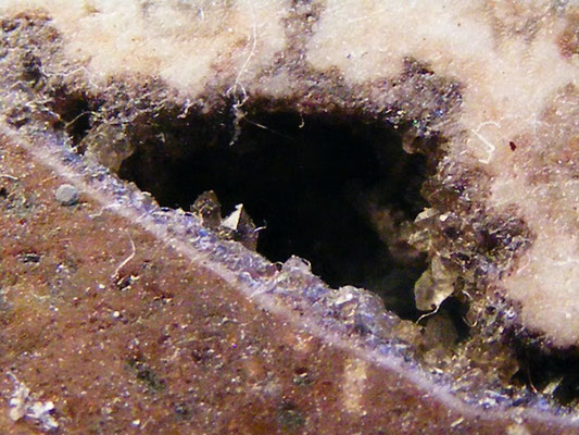 Dörrkopf, detail