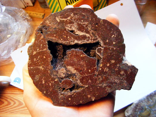 Dörrkopf