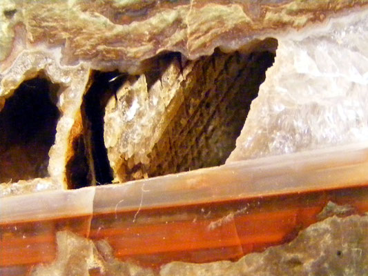 Fréjus "La Vigne" - detail
