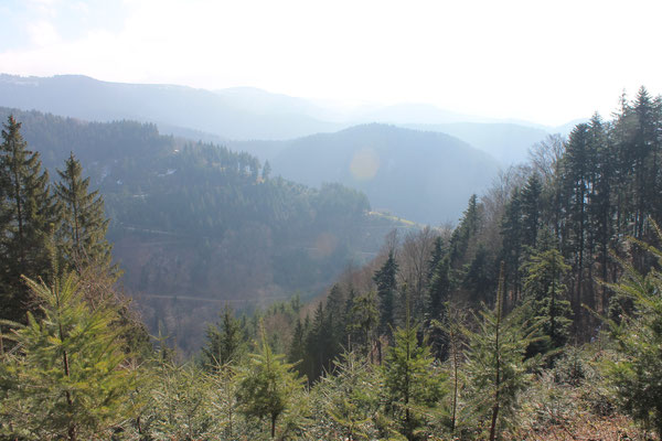 View of the Lierbach valley