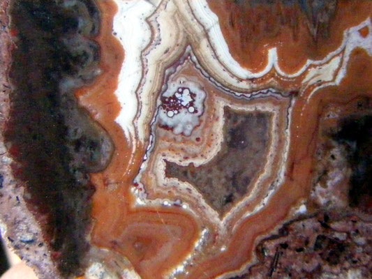 Nowy Kosciol - detail