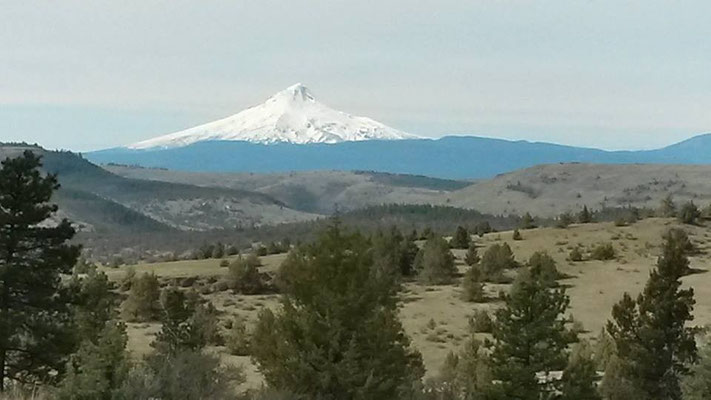 View on Mt. Hood from the Warm Springs Indian Reservation