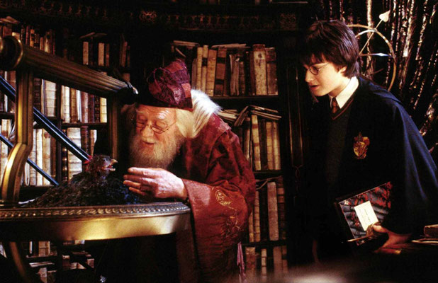 Harry Potter Et La Chambre Des Secrets de Chris Colombus - 2002 / Fantastique