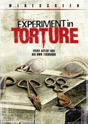 Experiment In Torture