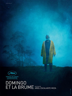 Domingo Et La Brume (2022/de Ariel Escalante) 