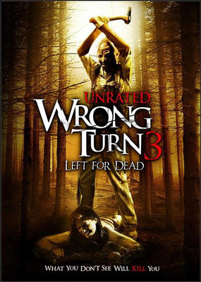 Détour Mortel 3 (2009/de Declan O’Brien)