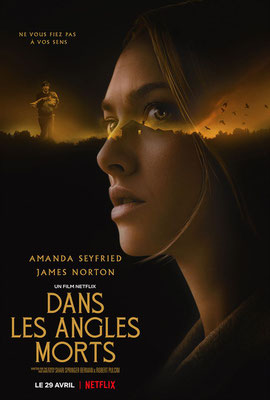 Dans Les Angles Morts (2021/de Shari Springer Berman & Robert Pulcini) 