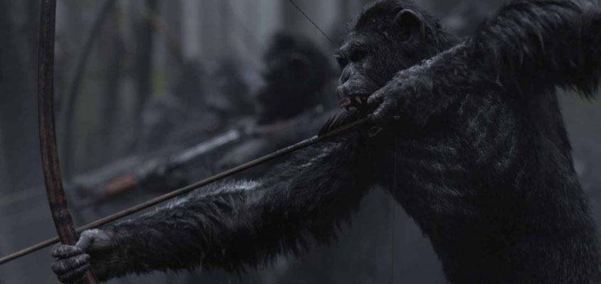 La Planète Des Singes - Suprématie de Matt Reeves - 2017 / Science-Fiction  