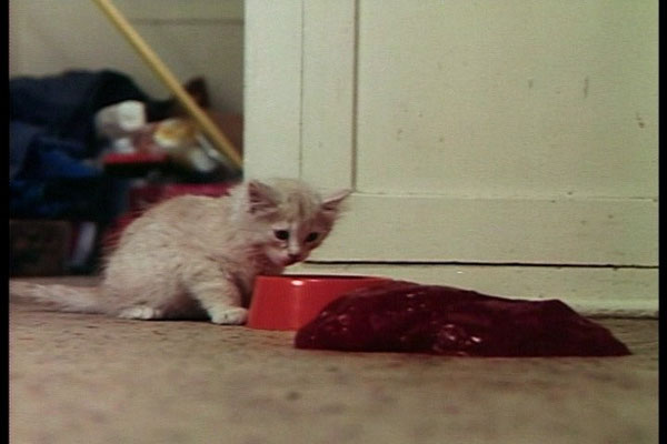 Attention Au Blob de Larry Hagman - 1972
