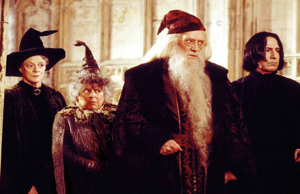 Harry Potter Et La Chambre Des Secrets de Chris Colombus - 2002 / Fantastique