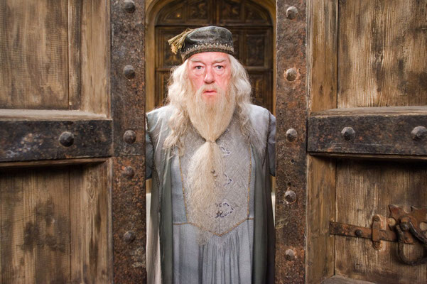 Harry Potter Et l'Ordre Du Phénix de David Yates - 2007 / Fantastique  
