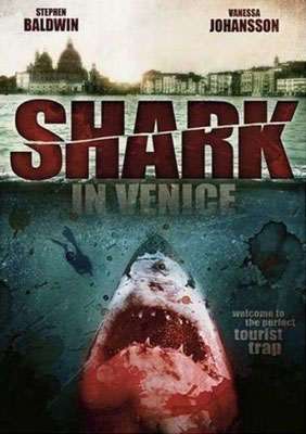 Shark In Venice