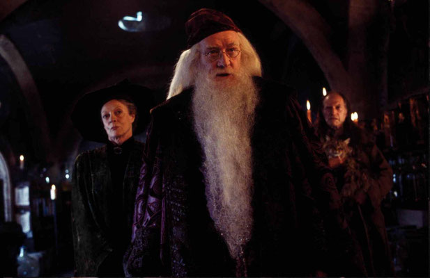 Harry Potter Et La Chambre Des Secrets de Chris Colombus - 2002 / Fantastique