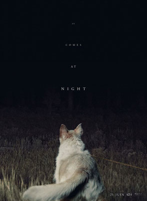 It Comes At Night (2017/de Trey Edward Shults) 