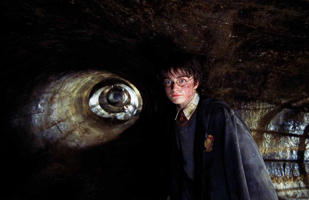 Harry Potter Et La Chambre Des Secrets de Chris Colombus - 2002 / Fantastique