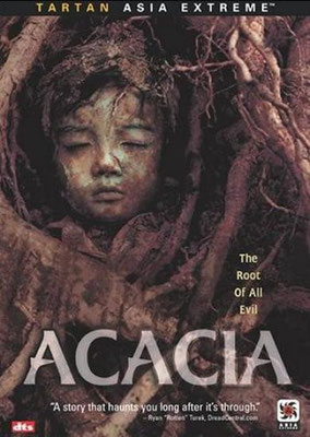 Acacia (2004/de Park Ki-Hyung)