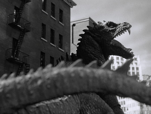Le Monstre Des Temps Perdus de Eugène Lourié - 1953 / Science-Fiction - Animal Tueur 