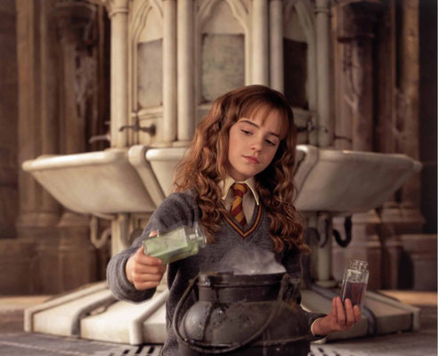Harry Potter Et La Chambre Des Secrets de Chris Colombus - 2002 / Fantastique