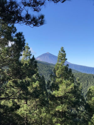 Teneriffa © Tiegel-Reisen