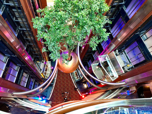 Celebrity Eclipse © Tiegel-Reisen