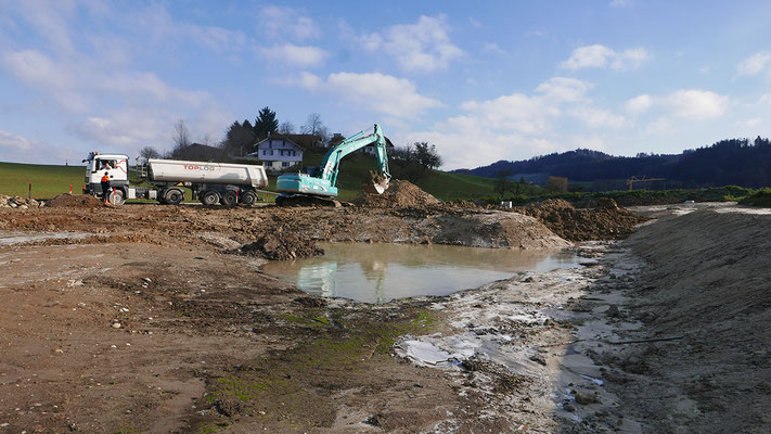 Der Dürlefweiher wurde während der letzten Melioration zugeschüttet...