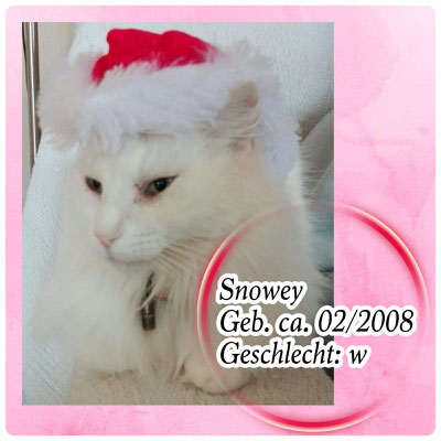 Snowey 