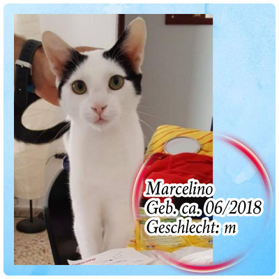 Marcelino
