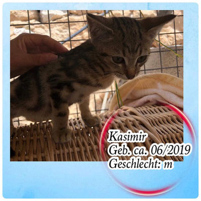 Kasimir