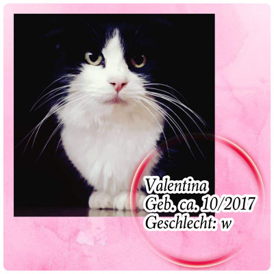 Valentina