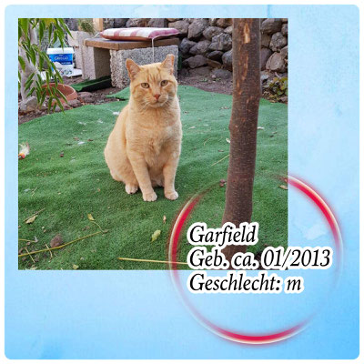Garfield
