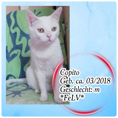 Copito TFS