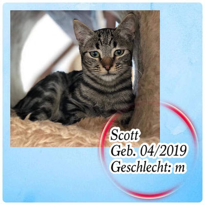 Scott
