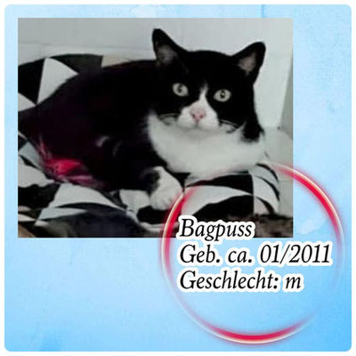 Bagpuss