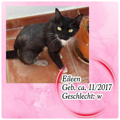 Eileen