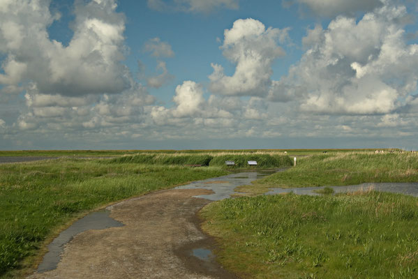 Langwarder Groden