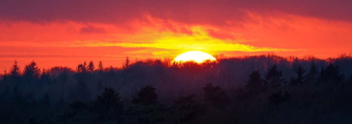 Lüneburger Heide / Niedersachsen