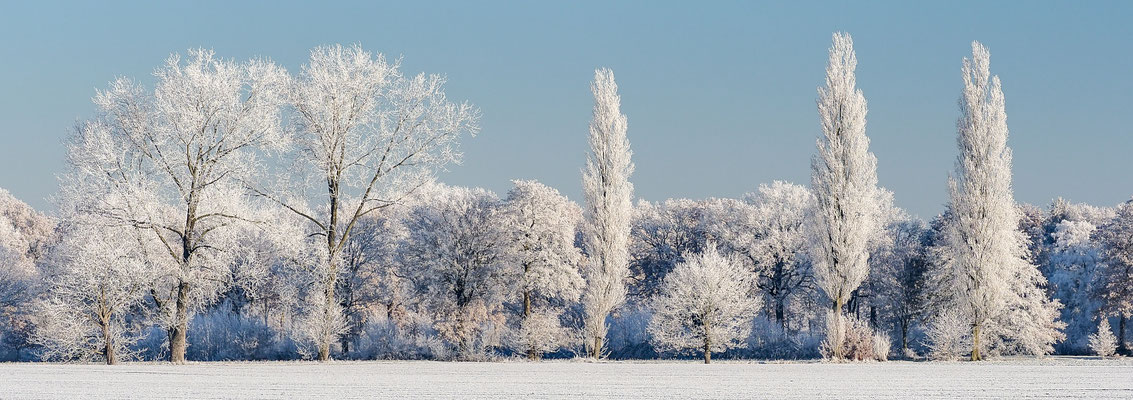 Ammerland / Niedersachsen