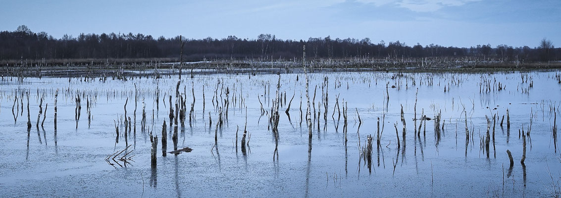 Naturpark Hümmling / Niedersachsen