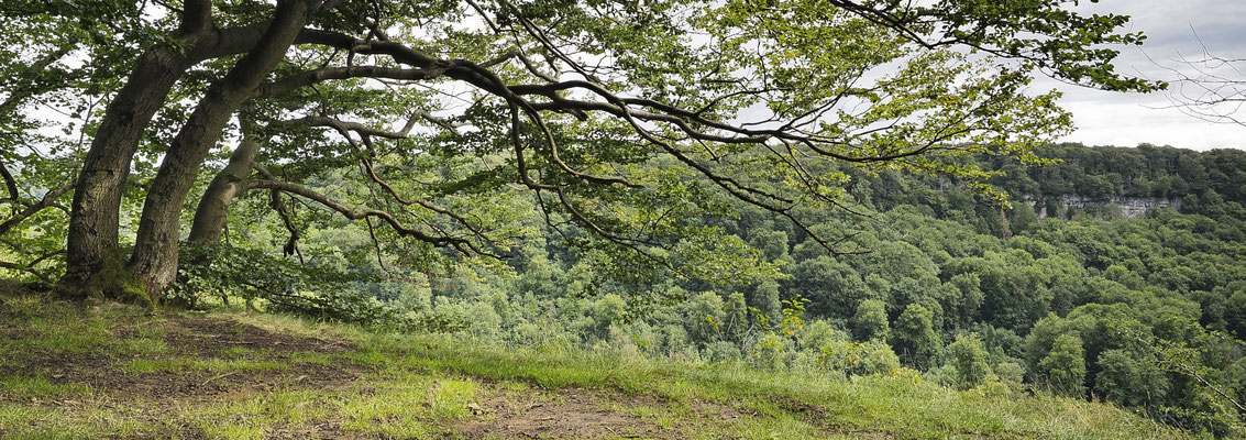 Blick auf den Hohenstein / Süntel, Niedersachsen
