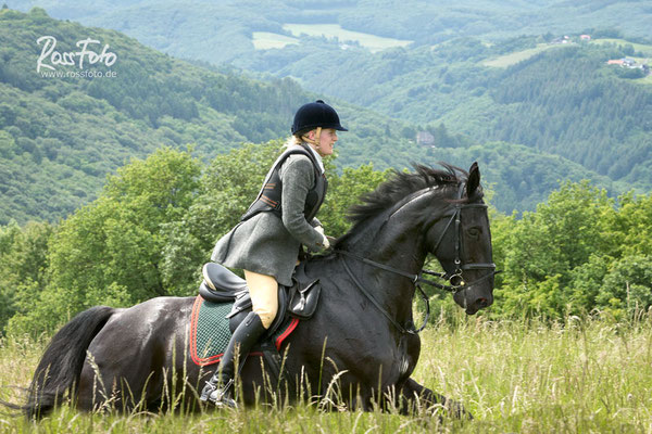 RossFoto Dana Krimmling; Schleppjagd Cappenberger Meute; Pferdefotografie; wanderreiten; westernreiten; jagdreiten; Jagdpferd; Westerwald; Hundemeute; Equipage; Jagdhunde; jagdpferd