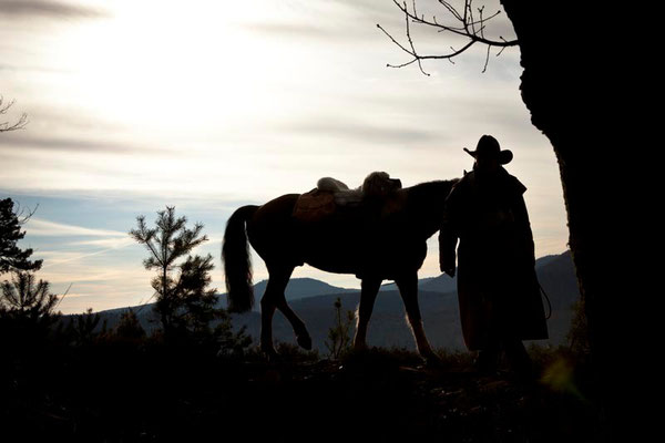 RossFoto Pferdefotografie Dana Krimmling Wanderreiten Westernreiten Freiberger Pferde Viehtrieb